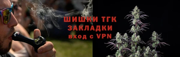 тгк Аркадак