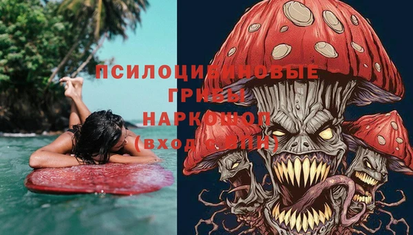 мяу мяу кристалл Арсеньев