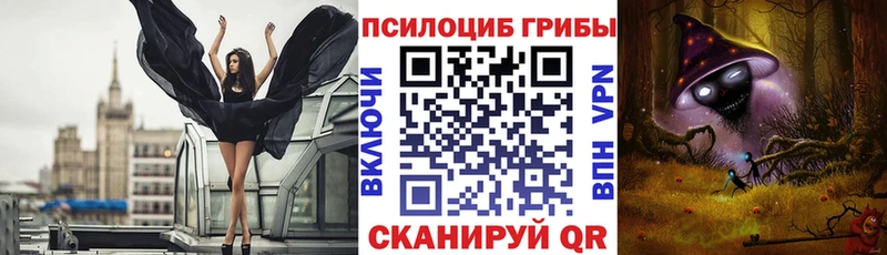 Псилоцибиновые грибы мицелий наркотики кракен ссылки Голицыно